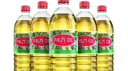 Palm Oil