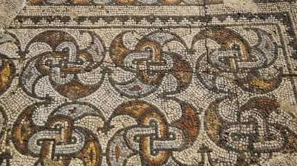 Roman period mosaic found near Tel Aviv