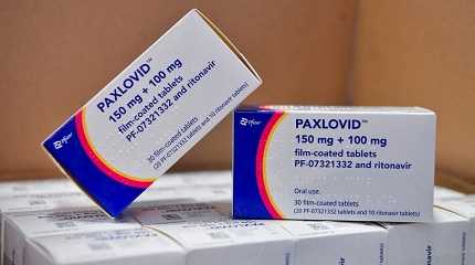 Pfizer’s Paxlovid pill