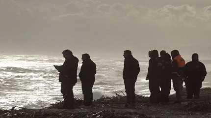 Rescuers work at the beach