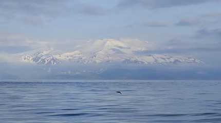 Alaska Volcano