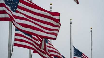 USA Flags