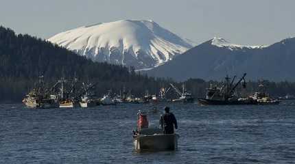 fishing boats