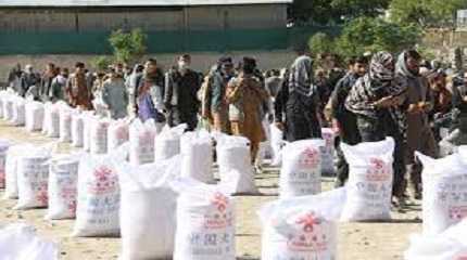 China donated rice