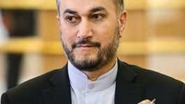  Hossein Amir-Abdollahian