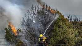 wildfires in New Mexico