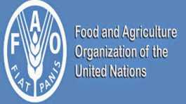 Food and Agriculture Organization (FAO)