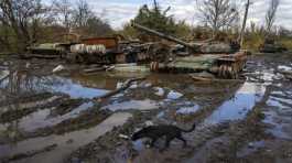 Russian tanks damaged in Ukraine