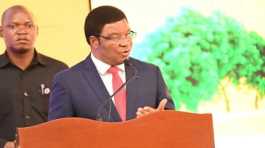 Prime Minister Majaliwa