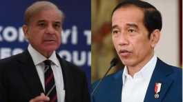 Shehbaz Sharif and Joko Widodo