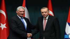 Tayyip Erdogan shakes hands with Miguel Diaz