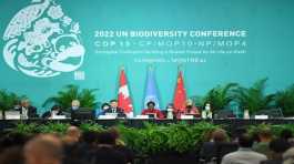 UN Convention on Biological Diversity