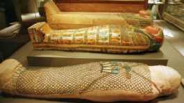 Egyptian mummy