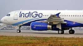 IndiGo plane