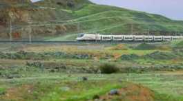 Makkah mountains turn green