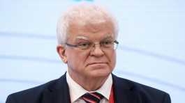 Vladimir Chizhov