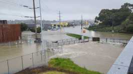 heavy rainfall in Auckland