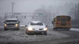 Vehicles drive in the snowstorm