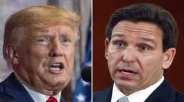 Donald Trump and Ron DeSantis