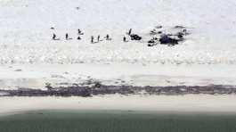 fishermen from Indonesia stand on a beach on Bedwell Island