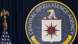 Central Intelligence Agency (CIA)