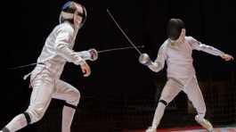 Fencing