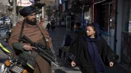 Taliban fighter stands guard