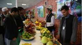 Afghanistan agriculture fair.