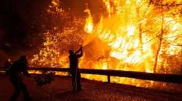 Tenerife wildfire