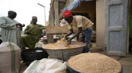 man sells grain