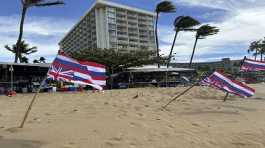 hawaiian flags