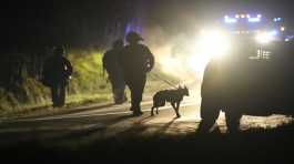 member of law enforcement with a police dog