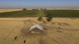 farmland in rural Solano